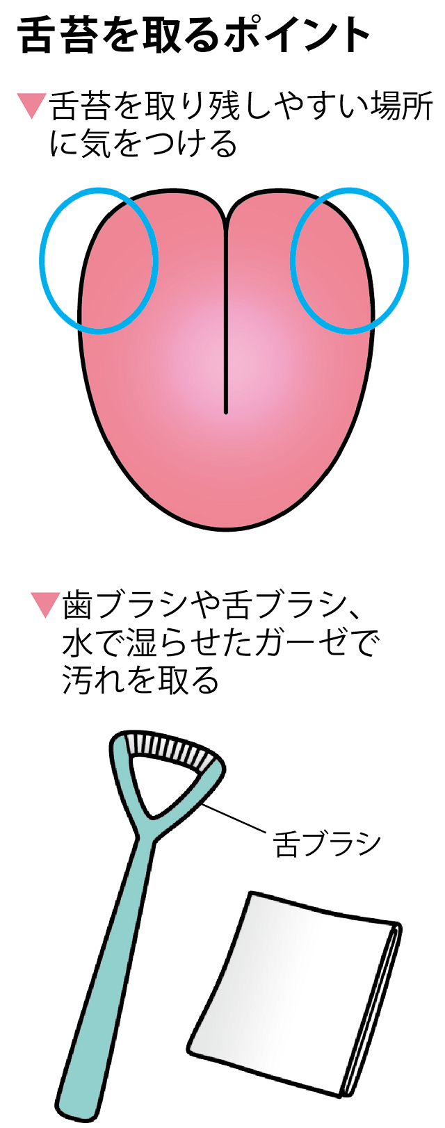 舌苔を取るポイント