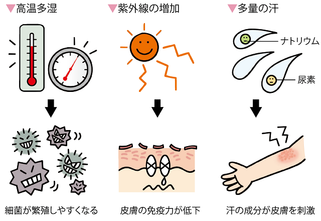 夏の湿疹の原因