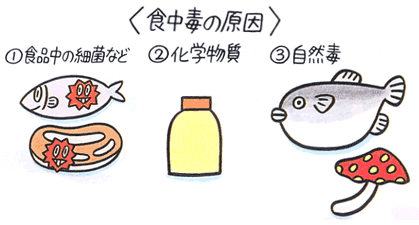 食中毒（食あたり）の原因