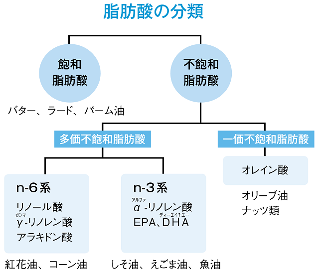 脂肪酸の分類