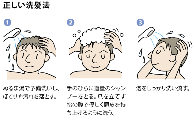 正しい洗髪法