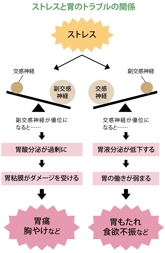 ストレスと胃のトラブルの関係