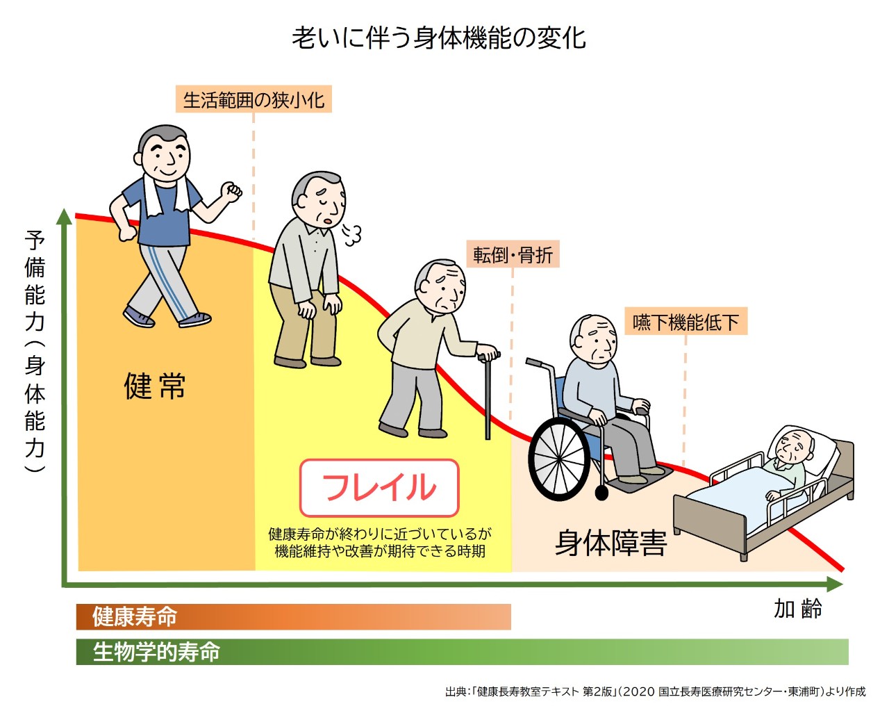 老いに伴う身体機能の変化