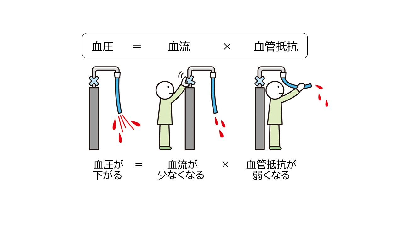 自律神経の機能低下による血圧の低下が起立性調節障害の原因