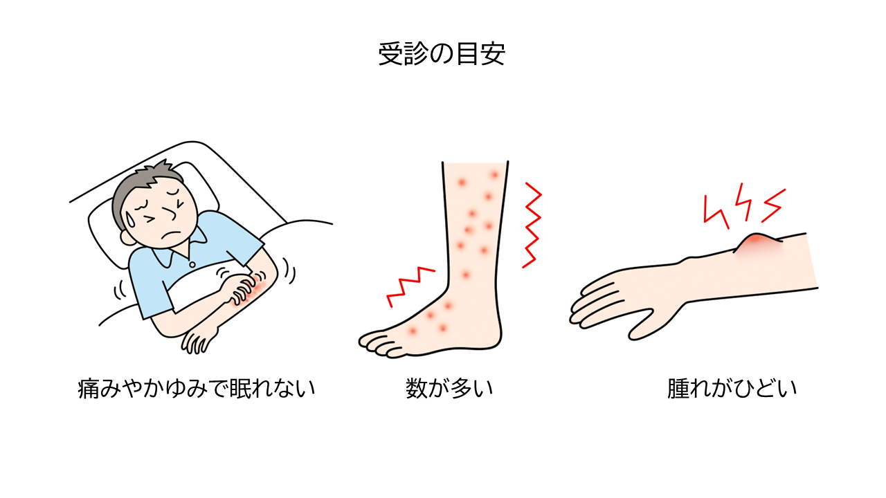 虫刺されでの受診の目安