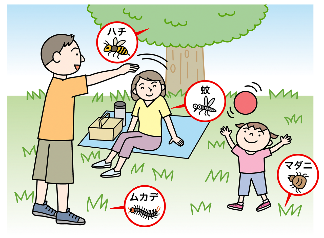 虫刺されの原因となる虫。血を吸う虫（蚊、マダニなど）、かむ虫（ムカデなど）、刺す虫（ハチなど）