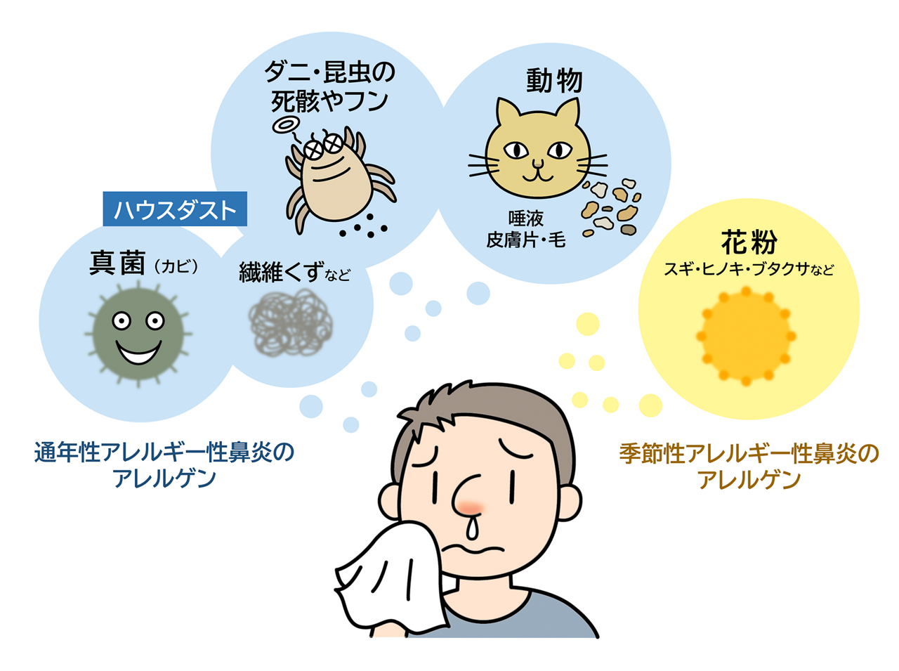 アレルゲン：ハウスダスト、ダニ、花粉など