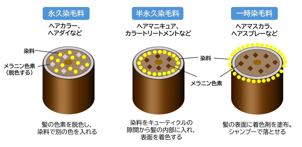 カラーリング（白髪染め）の方法・主な３種類。①永久染毛料（ヘアカラー、ヘアダイなど）、②半永久染毛料（ヘアマニキュア、カラートリートメント、カラーシャンプーなど）、➂一時染毛料（ヘアマスカラ、ヘアカラースプレーなど）