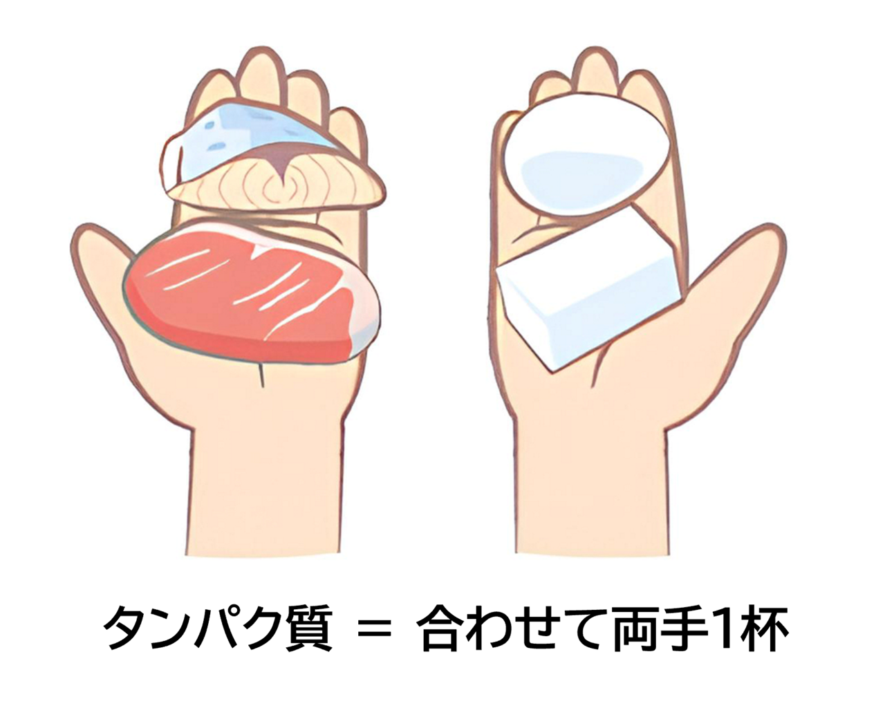 理想としては、体重50kgの人であれば、タンパク質を1日50ｇ摂るのが目安。食材に換算すると1日250ｇ、ボリュームとしては合わせて両手１杯分ほどになります。