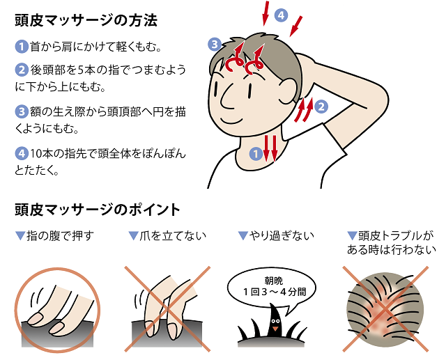 頭皮マッサージの方法①首から肩にかけて軽くもむ。②後頭部を5本の指でつまむように下から上にもむ。③額の生え際から頭頂部へ円を描くようにもむ。④10本の指先で頭全体をぽんぽんとたたく。 頭皮マッサージのポイント①指の腹で押す②爪を立てない③やり過ぎない（朝晩1回3～4分程度でよい）④頭皮トラブルがあるときは行わない。