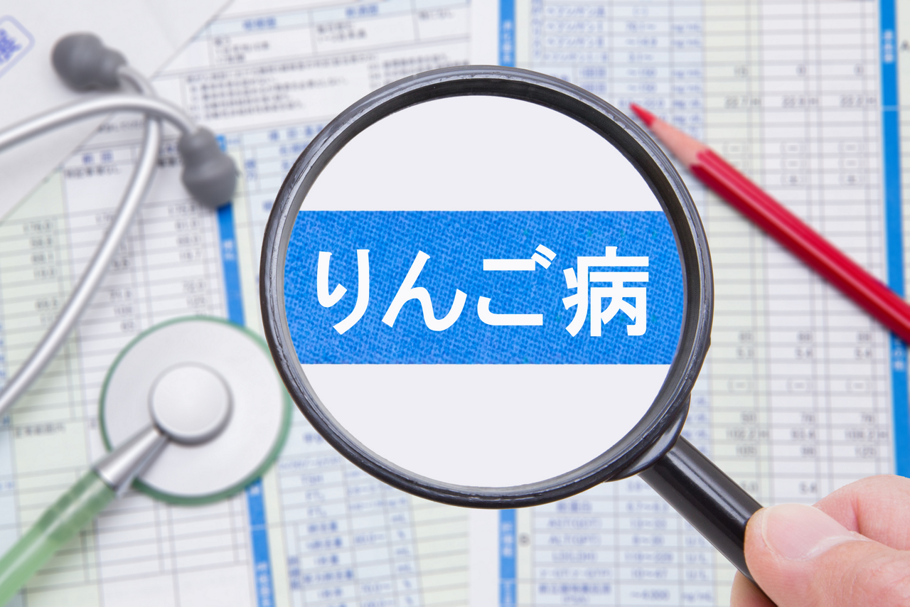 りんご病（伝染性紅斑）