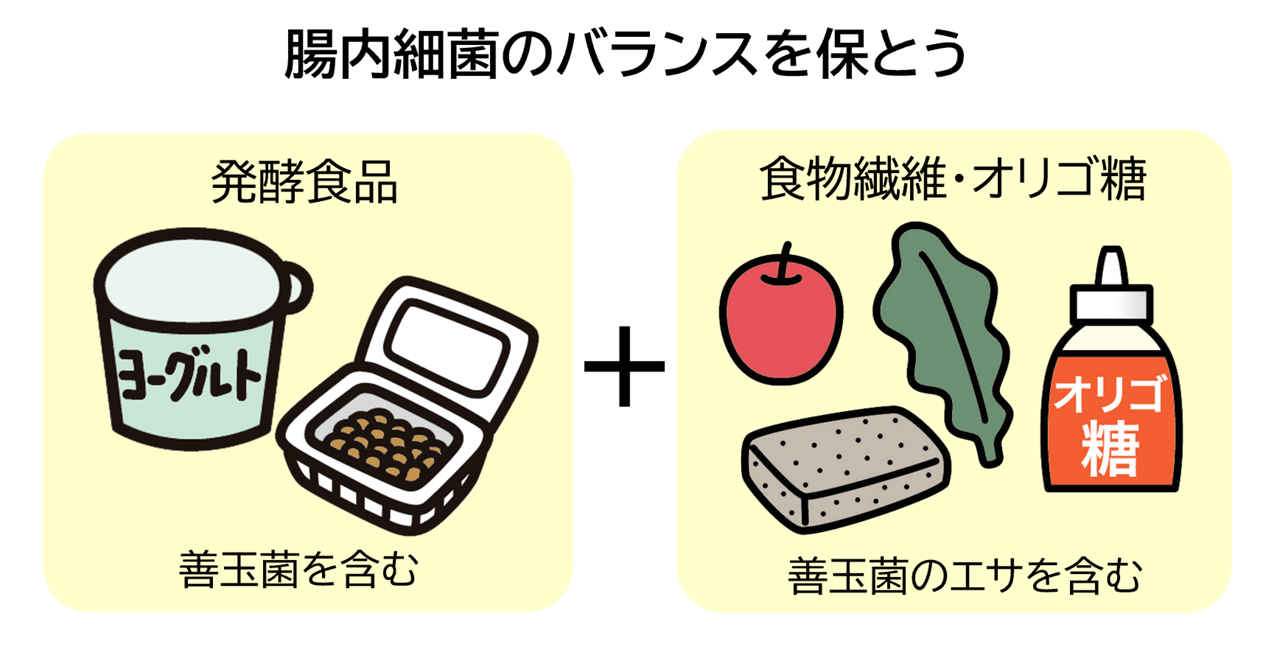 ヨーグルトや納豆など善玉菌を含んだ発酵食品と、善玉菌のエサを含む食物繊維やオリゴ糖を摂取して腸内細菌のバランスを保とう。