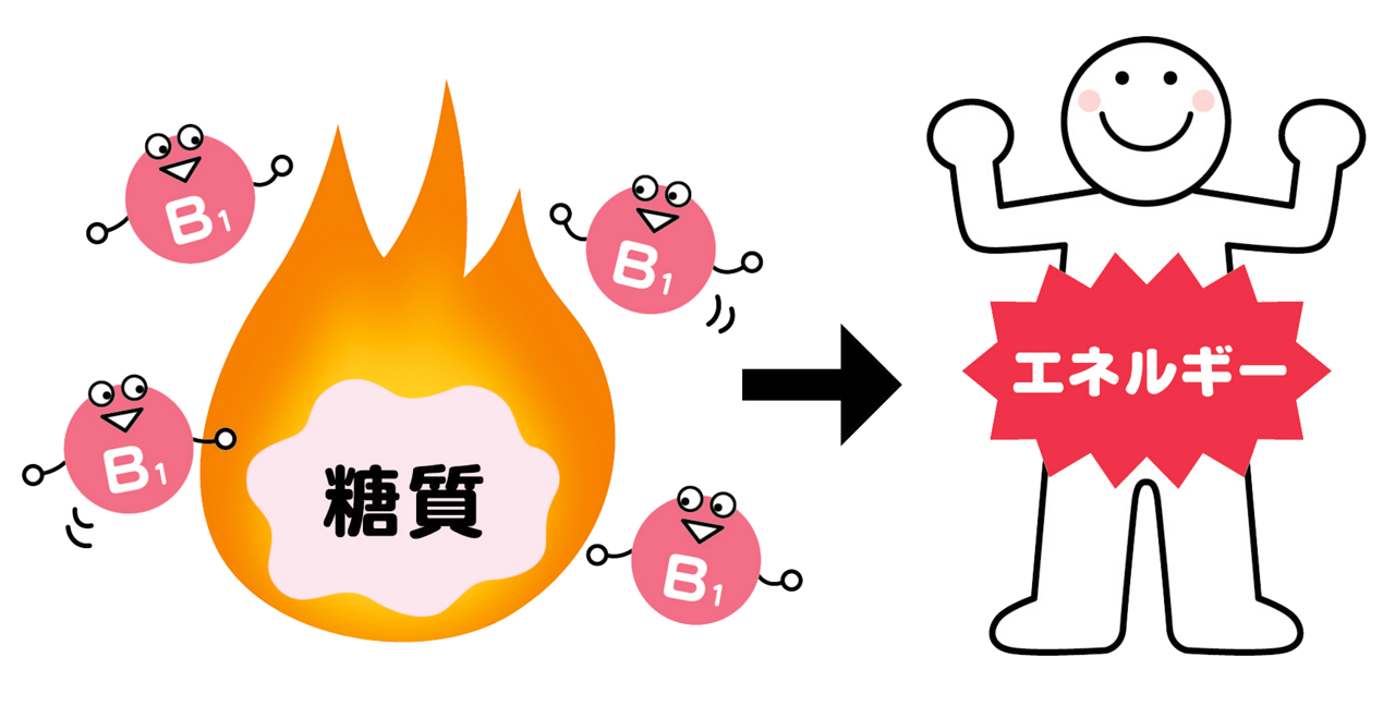 ビタミンB1が、摂取した糖質からエネルギーを生み出す助けをするイメージイラスト