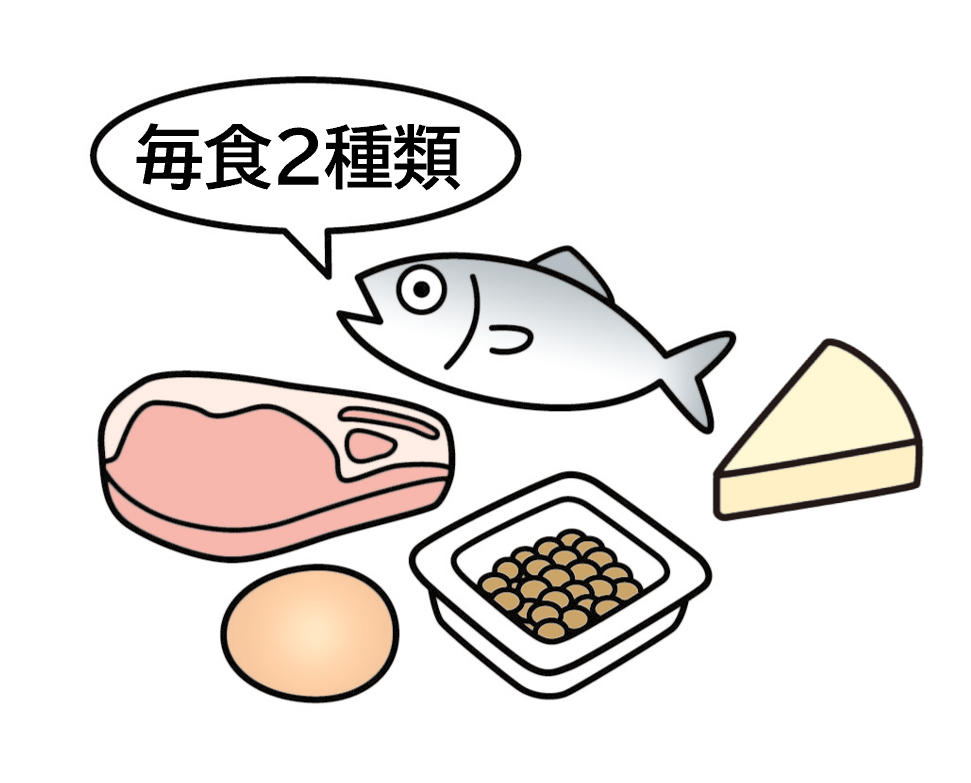5大タンパク源（肉、魚、卵、乳製品、大豆製品）のうち毎食、2種類ずつ摂取するイメージイラスト