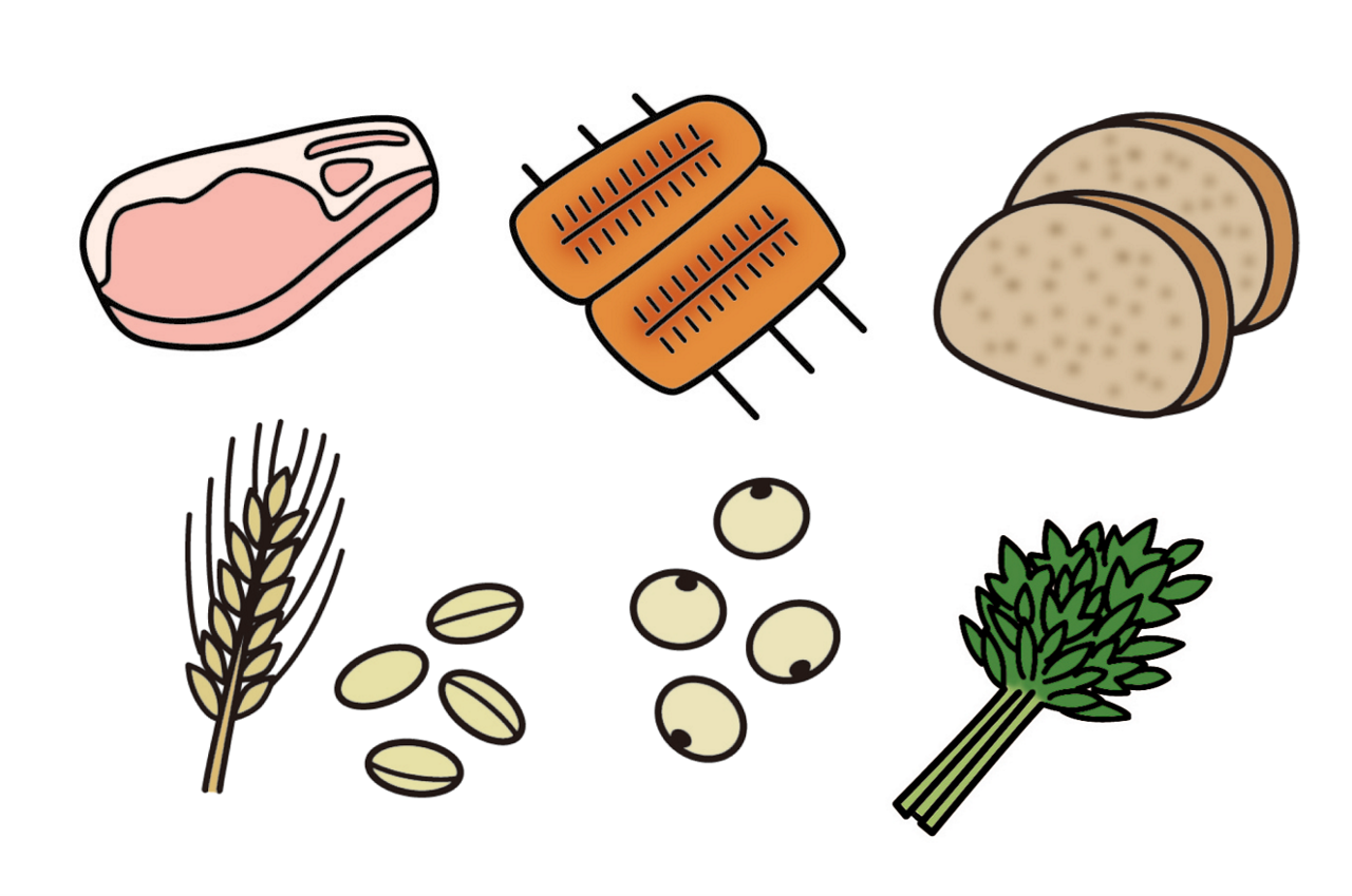 ビタミンB１を多く含む食品のイメージイラスト