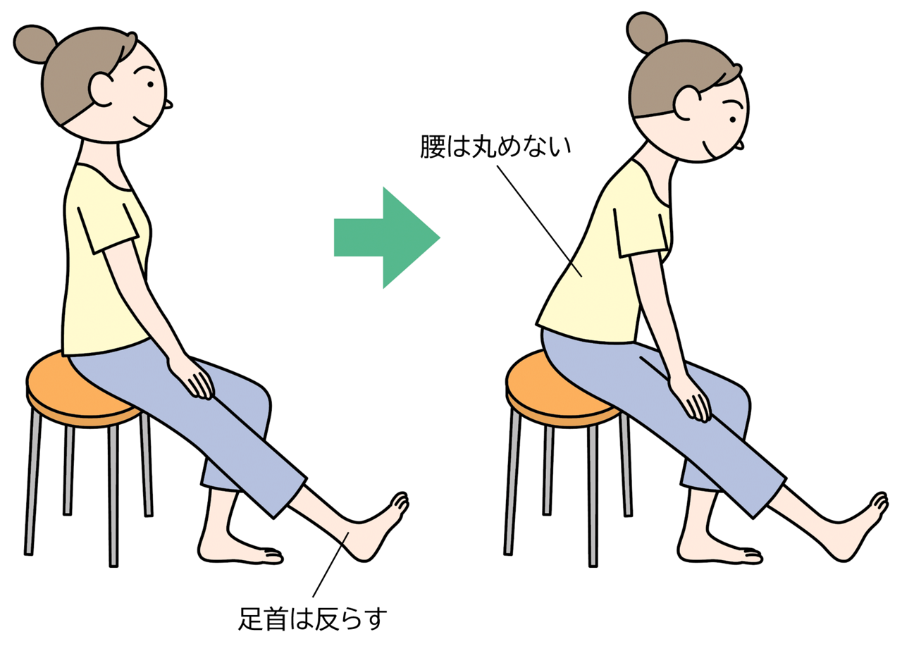 太もも伸ばし体操①いすに浅く座って膝を伸ばし、足首は上へ引き上げるように反らす。②腰を丸めずに、上体を前に倒す。③20秒間姿勢を保つ。反対の脚も行い、2セット繰り返す。
