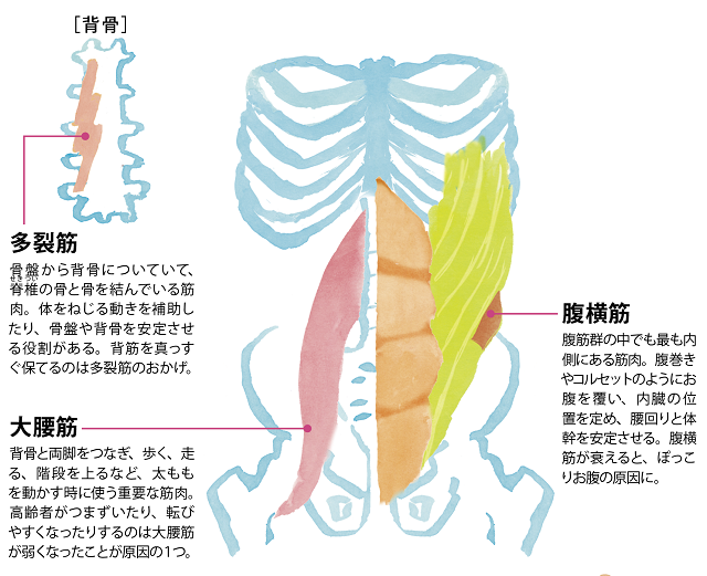 筋肉痛の予防とローカル筋