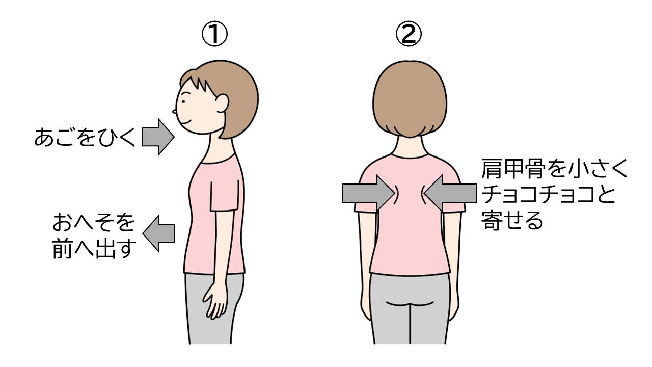 仕事や家事の合間にできるストレッチ①腰を反らさないようにしながら、おへそを少し前に出し、あごをひく②肩を上げたり回したりしないように注意しながら、肩甲骨を小さくチョコチョコと寄せる