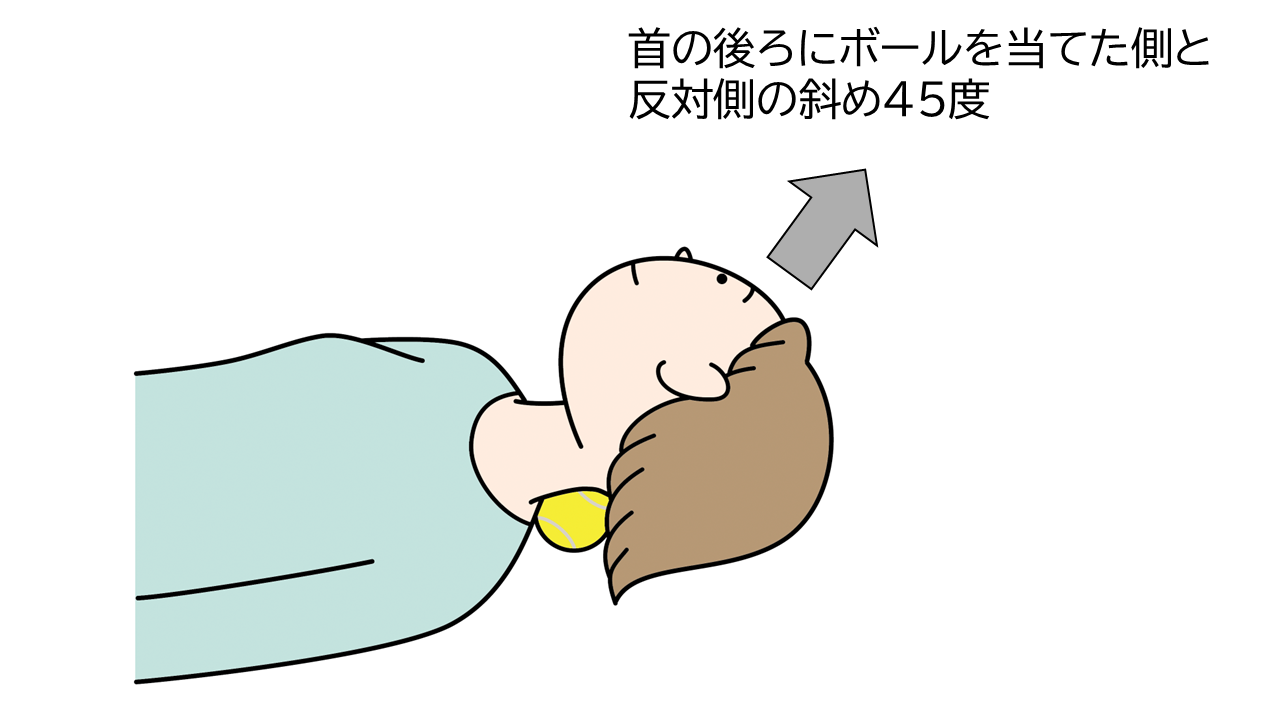 テニスボールを使った首の筋肉のストレッチ。首の後ろ、右寄りの位置に硬式テニスのボールを当て、体を反らせないようにしながら、そのまま顔を左斜め45度の方向に向けて2～3分キープ。ボールの位置を入れ替えて同様に2～3分キープする。首の後ろにボールを当てた側と反対側の斜め45度を見る。