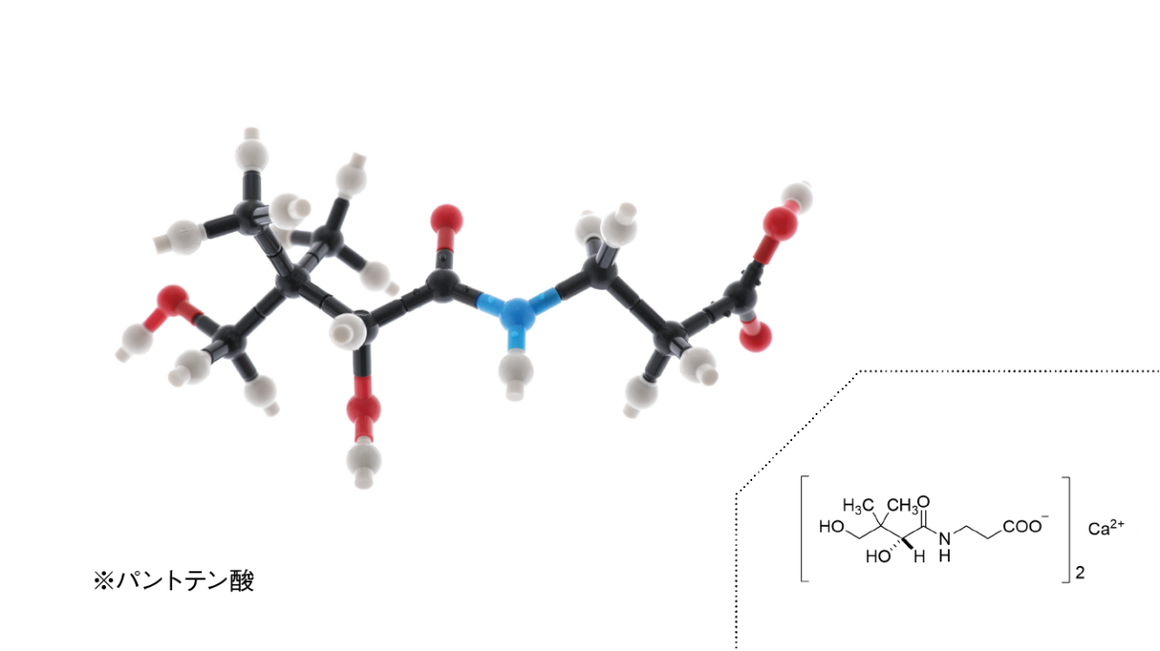 パントテン酸カルシウム