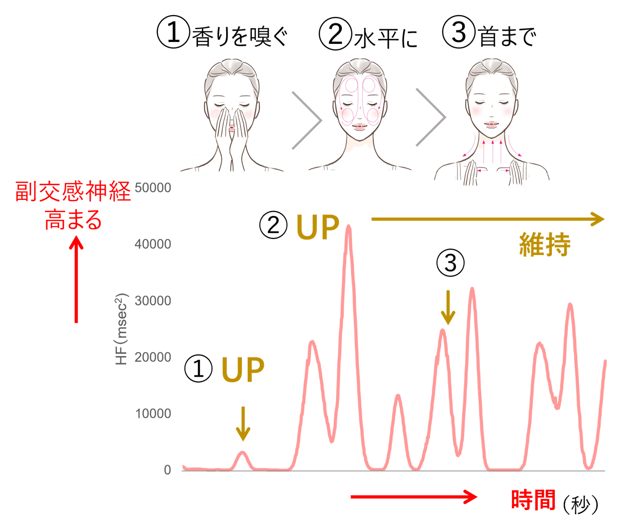 副交感神経を優位にするスキンケアメソッドは、① 両手で顔を覆い、深呼吸をして香りを嗅ぐ、② 手のひらで顔をなでるように、ゆっくり大きく水平に塗り広げる、③ 顔に加えて首元とデコルテもケアをすること。このメソッドによって副交感神経の高まりを表したグラフ