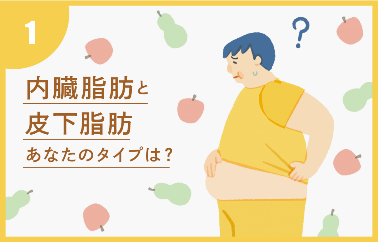 内臓脂肪と皮下脂肪　あなたのタイプは？