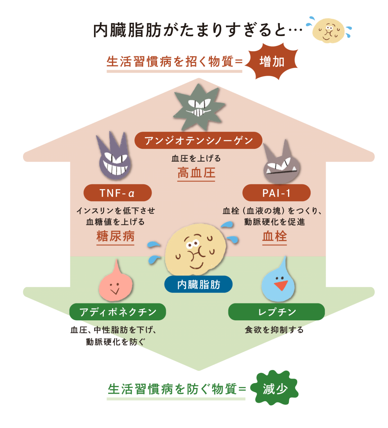 内臓脂肪がたまりすぎると、生活習慣病を招く物質が増加し、生活習慣病を防ぐ物質が減少する