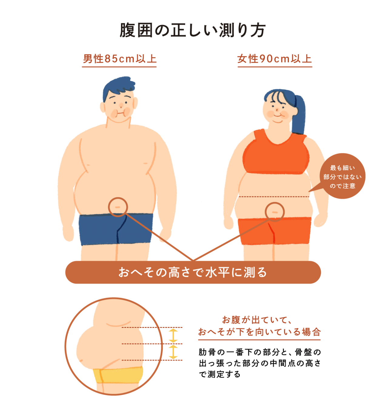 腹囲の正しい測り方。おへその高さで水平に測る。お腹が出ていて、おへそが下を向いている場合、肋骨の一番下の部分と、骨盤の出っ張った部分の中間点の高さで測定する。